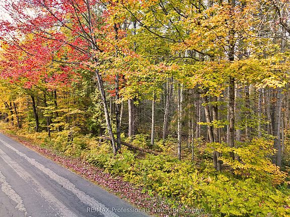 4th image of 276 Fern Glen Rd