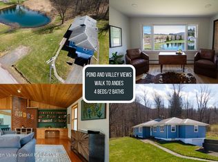 94 Gladstone Hollow Road, Andes, NY 13731