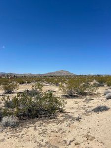 0 Bellflower St, Joshua Tree, CA, 92252