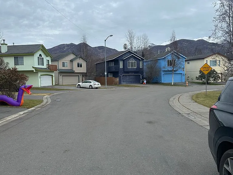 4018 Sycamore Loop — Photo 21