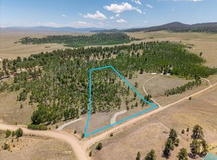 40 Brahma Court, Hartsel, CO 80449