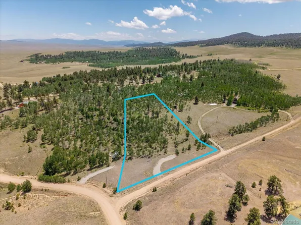 40 Brahma Court, Hartsel, CO 80449