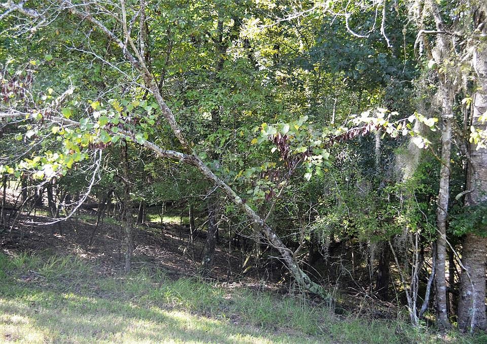1st image of 97 S Pine Harbour Dr