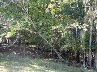 97 S Pine Harbour Dr, Coldspring, TX 77331