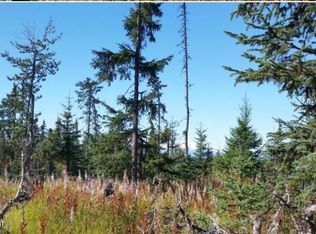 0 Wild Cotton Rd, Anchor Pt, AK 99556