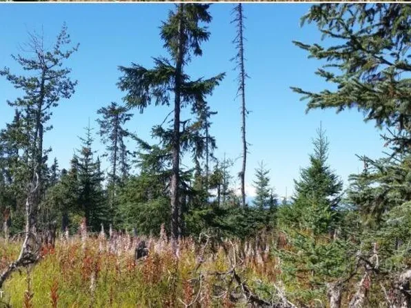 0 Wild Cotton Rd, Anchor Pt, AK 99556