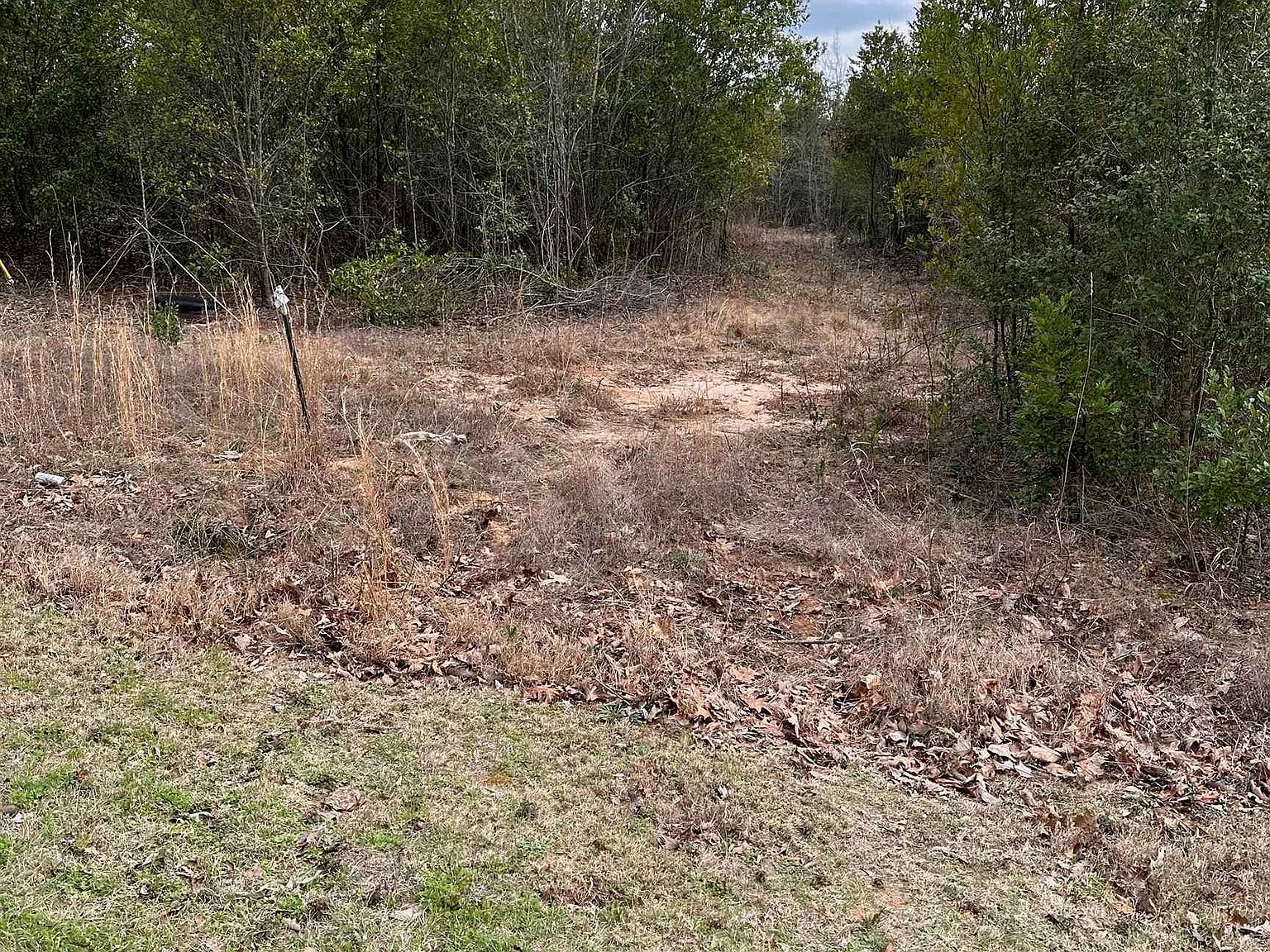 229 Water Tank Rd, Pelion, SC 29123 Zillow