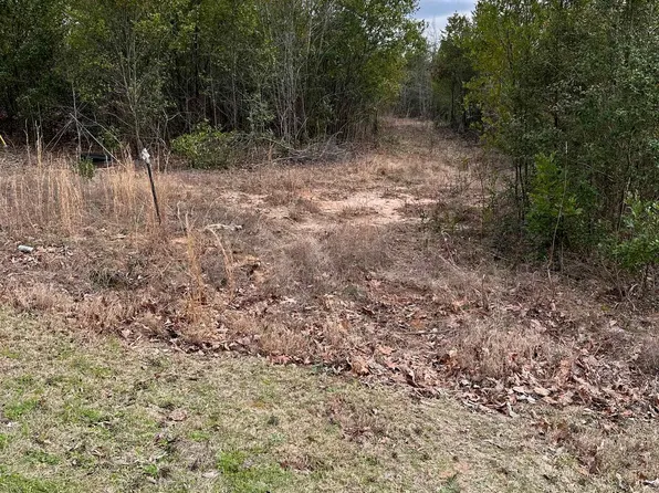 101 Summer Breeze Ln, Pelion, SC 29123