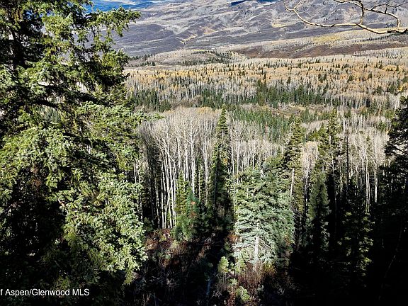 4th image of 1901 Ragged Mountain Reserve Rd