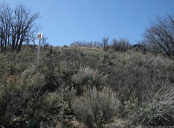 4th image of 3707 Aspen Camp Loop