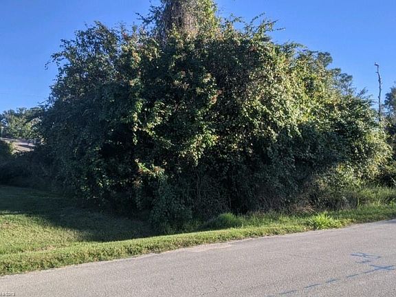 4th image of 4310 Lake Haven Blvd