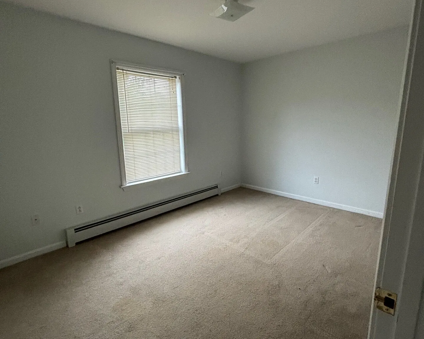 8 Husson Avenue - 1 — Photo 3
