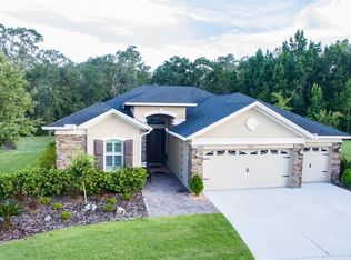 27216 Hawks Nest Cir, Wesley Chapel, FL 33544