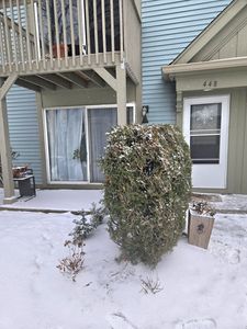 448 Bridle Trl #448, Wheeling, IL, 60090