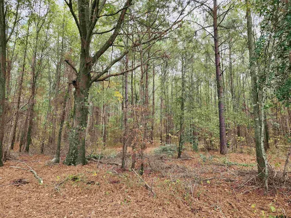 County Road 4313 Lot 7, Pittsburg, TX 75686