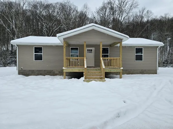 2297 Tams Hwy, Surveyor, WV 25932