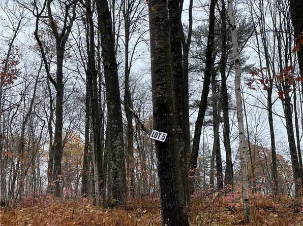 Lot 5 Eagles Nest Road, Birchwood, WI 54817
