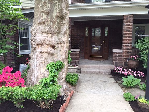 Front View Springtime
