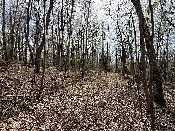 4th image of 0 Back Creek Rd
