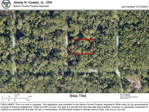 00 NE 113 Avenue, Fort McCoy, FL 32134