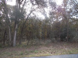 450 E Knightsbridge Pl, Lecanto, FL 34461