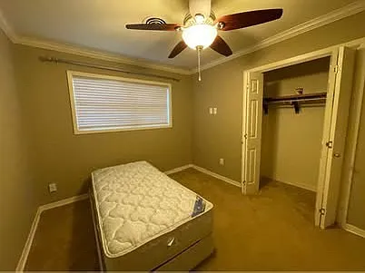 3503 Midwest Dr — Photo 9