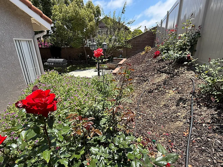 1867 Paseo Del Lago Dr — Photo 18