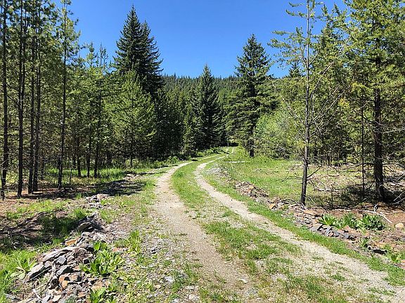 3rd image of 720 Lodgepole Dr