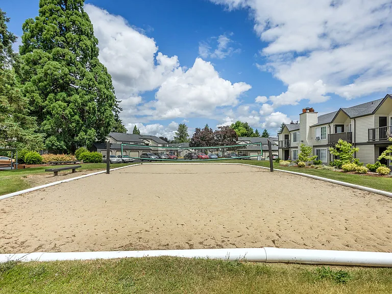Volleyball Court