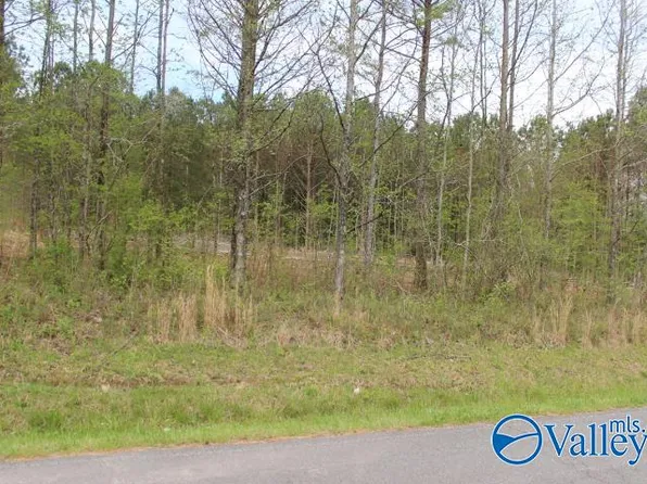 10 Brown Chapel Rd, Rainsville, AL 35986