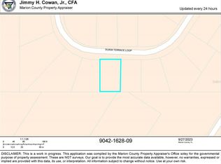 Guava Terrace Pl LOT 9, Ocklawaha, FL 32179