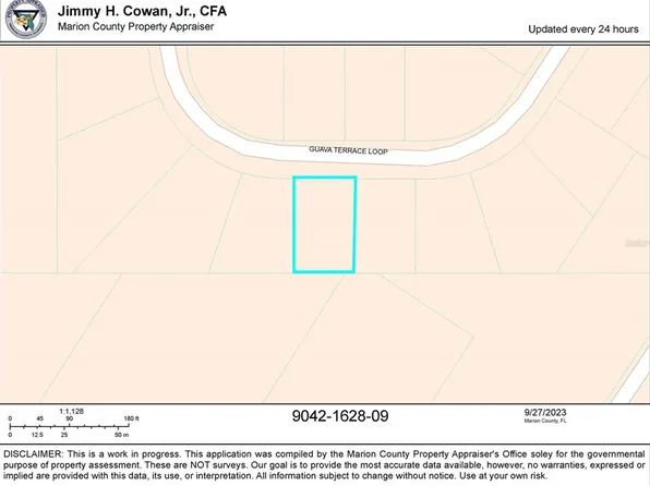 Guava Terrace Pl Lot 9, Ocklawaha, FL 32179