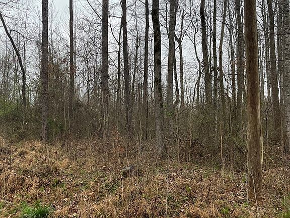 3rd image of 0 Perry School House Rd