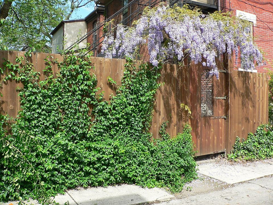 2nd image of 853 Oak St