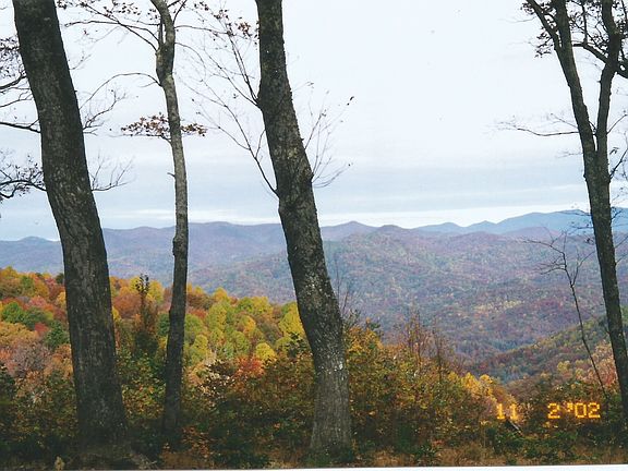 3rd image of 46 Pumpkin Patch Rd