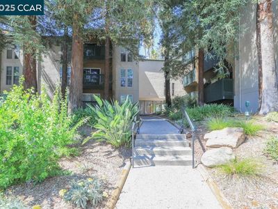 185 Sierra Dr APT 314, Walnut Creek, CA, 94596