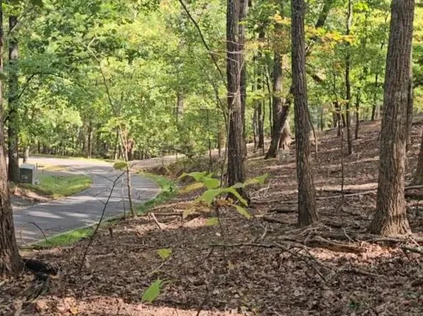 315 Windflower Dr, Lot, GA 30143