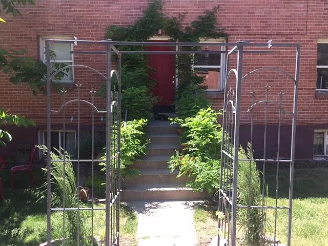 Trees, arbors, vines and nice people live here