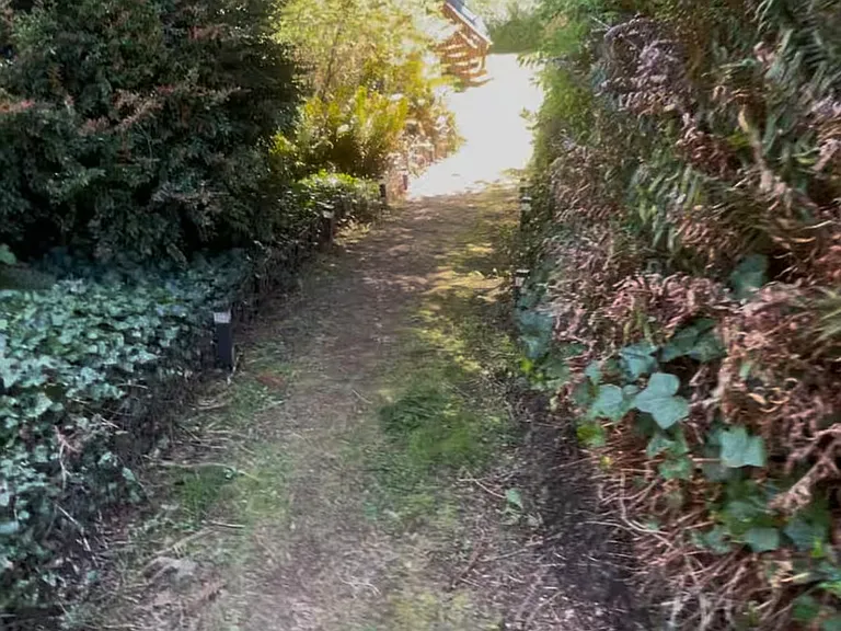 1398 Oregon Ave — Photo 50