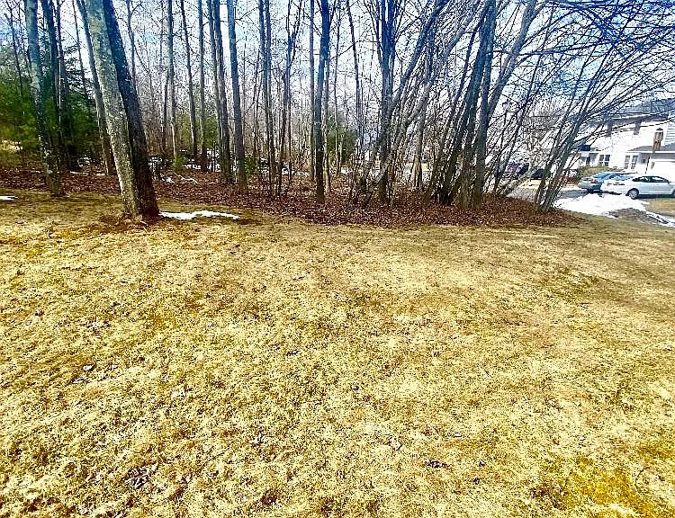 42 Krier Ln — Photo 24
