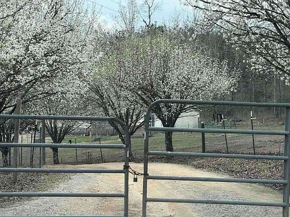 3rd image of 636 Switzerland Rd
