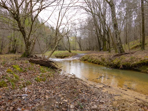 0 County Road 405, Haleyville, AL 35565