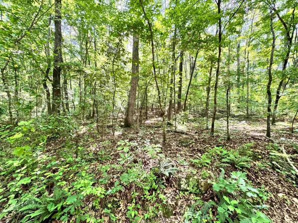 0 Red River Rd, Fox, AR 72051