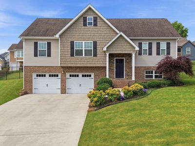 274 Live Oak Rd, Ringgold, GA, 30736