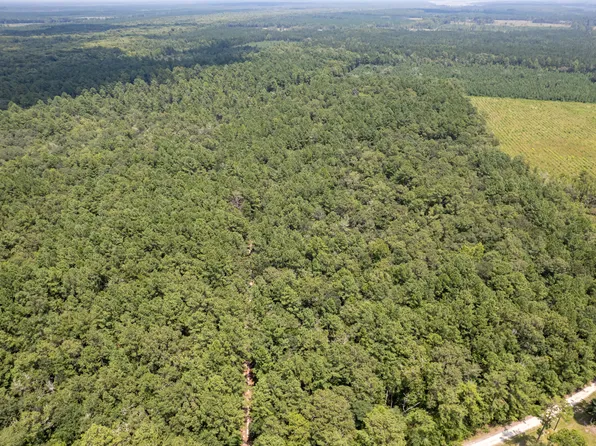 0 State Highway 252, White Oak, GA 31568