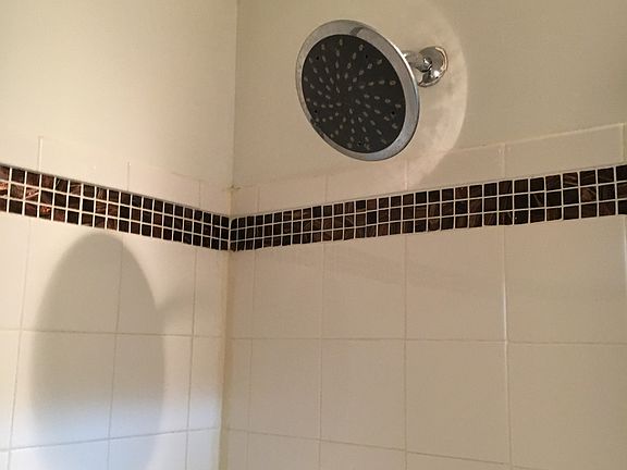 Rain shower head