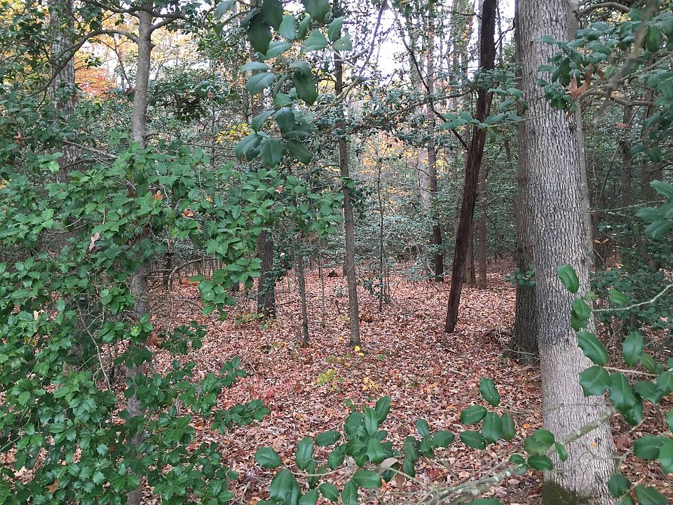 2nd image of 30069 Scott Land Road