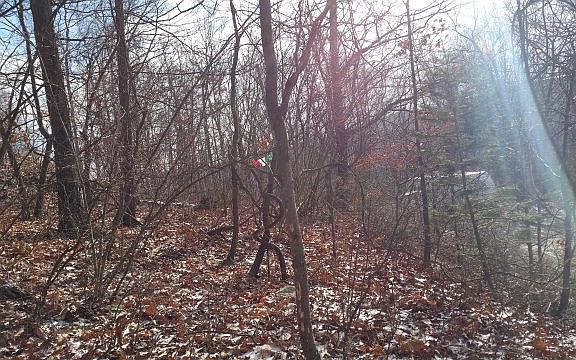 3rd image of 39 Hillcrest Dr