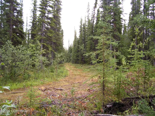 L20 B2 Becky Ln, Copper Center, AK 99573