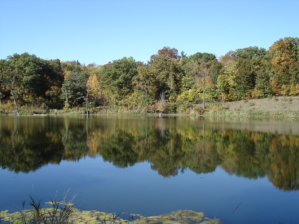Peaceful private lake.